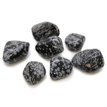 XL Tumble Stones - Obsidian Snowflake | Auro & Co
