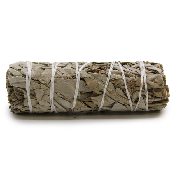 Smudge Stick - White Sage 10cm | Auro & Co