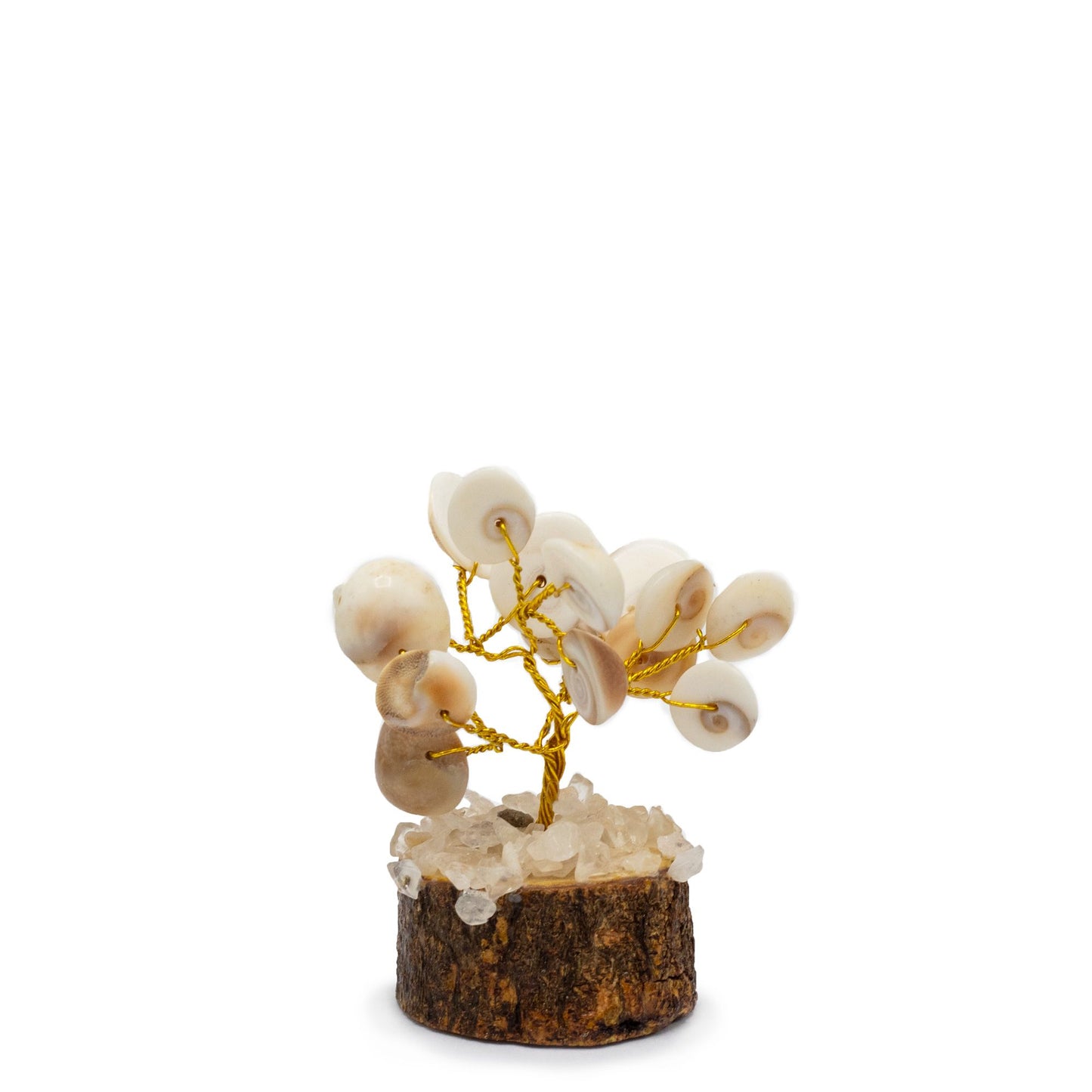 Small Gomati Chakra Circle Stone Tree with Rudraksha - (15 stones) | Auro & Co