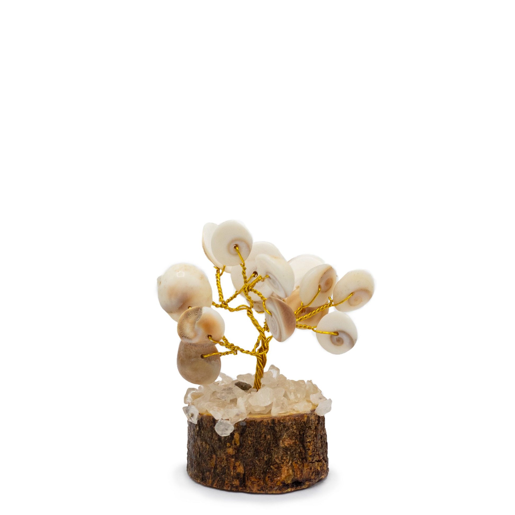 Small Gomati Chakra Circle Stone Tree with Rudraksha - (15 stones) | Auro & Co
