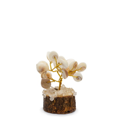 Small Gomati Chakra Circle Stone Tree with Rudraksha - (15 stones) | Auro & Co