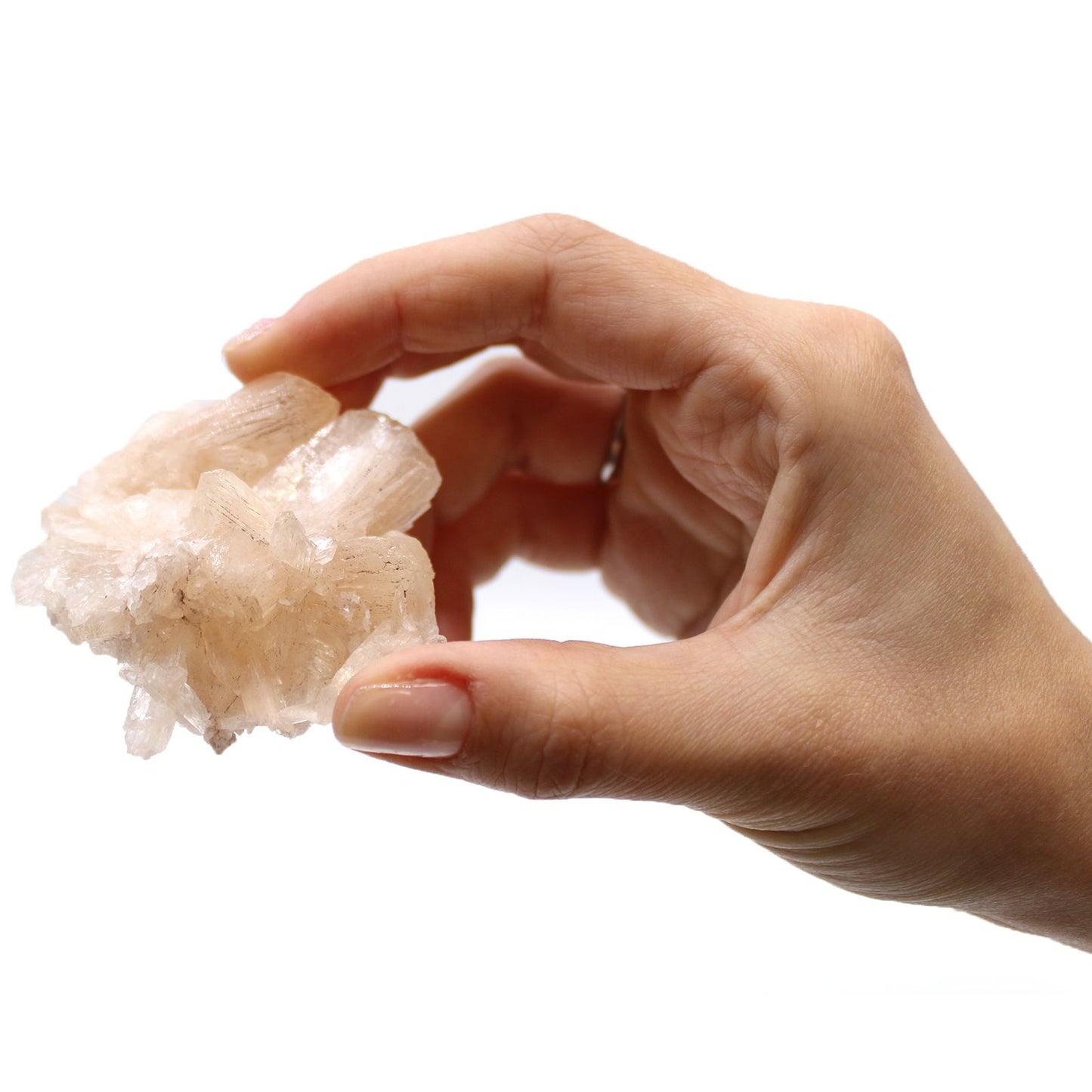 Stilbite Combination with Appophyllite 20-30mm – product image 11