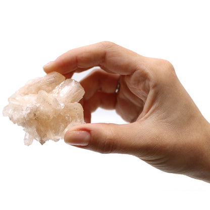 Stilbite Combination with Appophyllite 20-30mm – product image 11