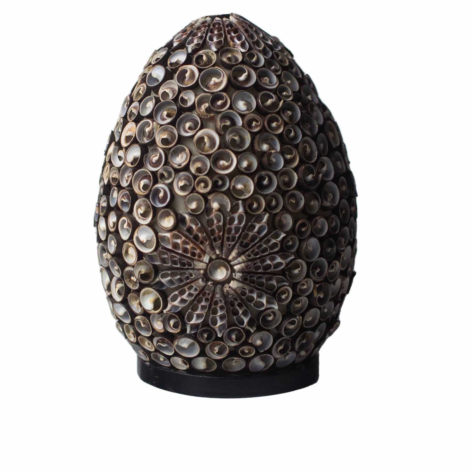 Ebony Pearl Twist Lamp – Dark Chocolate Seashell Glow (20cm) | Auro & Co