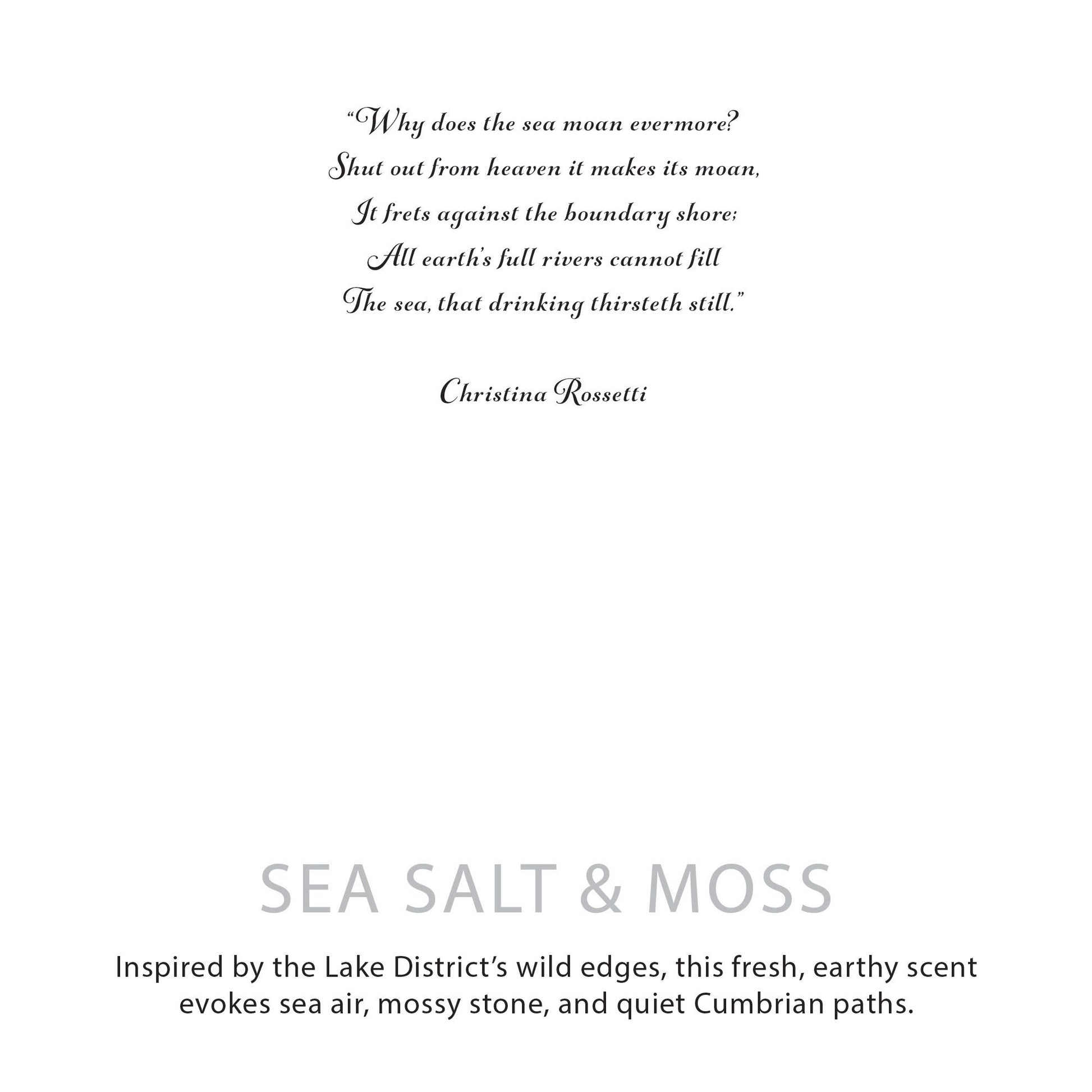 Agnes + Cat Botanical Soy Wax Candle - Seasalt & Moss – product image 10