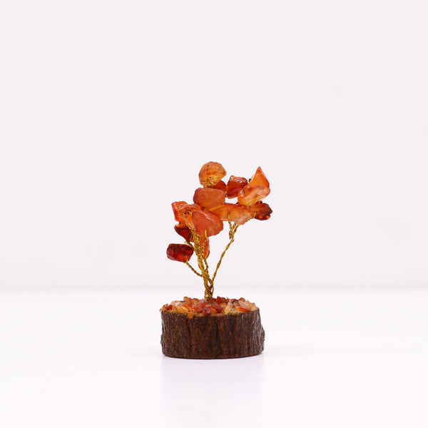 Mini Gemstone Tree On Wood Base - Carnelian (15 stones) | Auro & Co