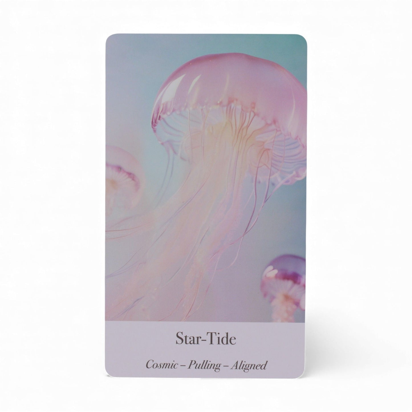 Ethereal Waters Oracle Cards - Sirens & Moonlight – packaging