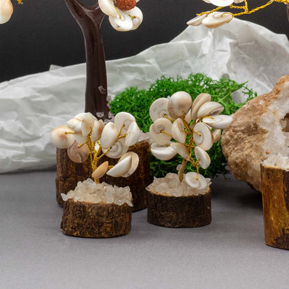 Small Gomati Chakra Circle Stone Tree with Rudraksha - (15 stones) – lifestyle shot