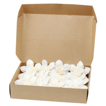Natural Diffuser Flowers – Large Lily on String