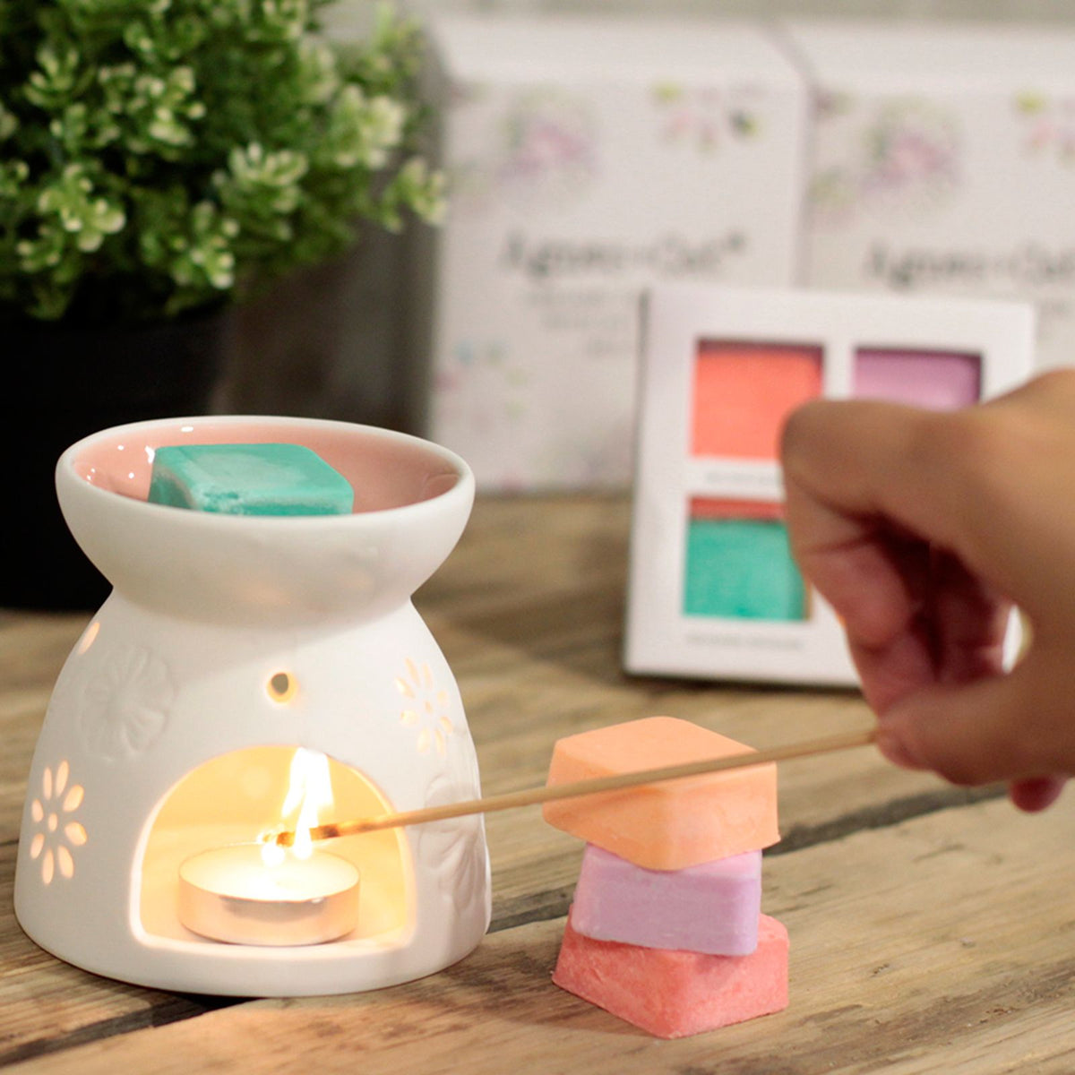Ceramic Floral Wax Melt Burner with 4 Soy Wax Melts - Agnes + Cat