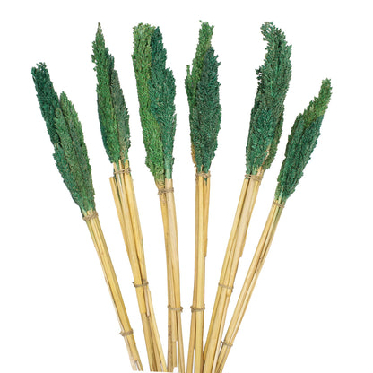 Cantal Grass Bunch - Green