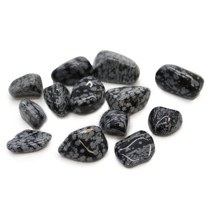 M Tumble Stone - Obsidian Snowflake | Auro & Co