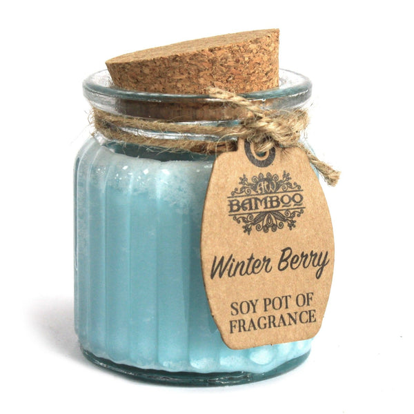 Winter Berry Soy Pot of Fragrance Candles | Auro & Co
