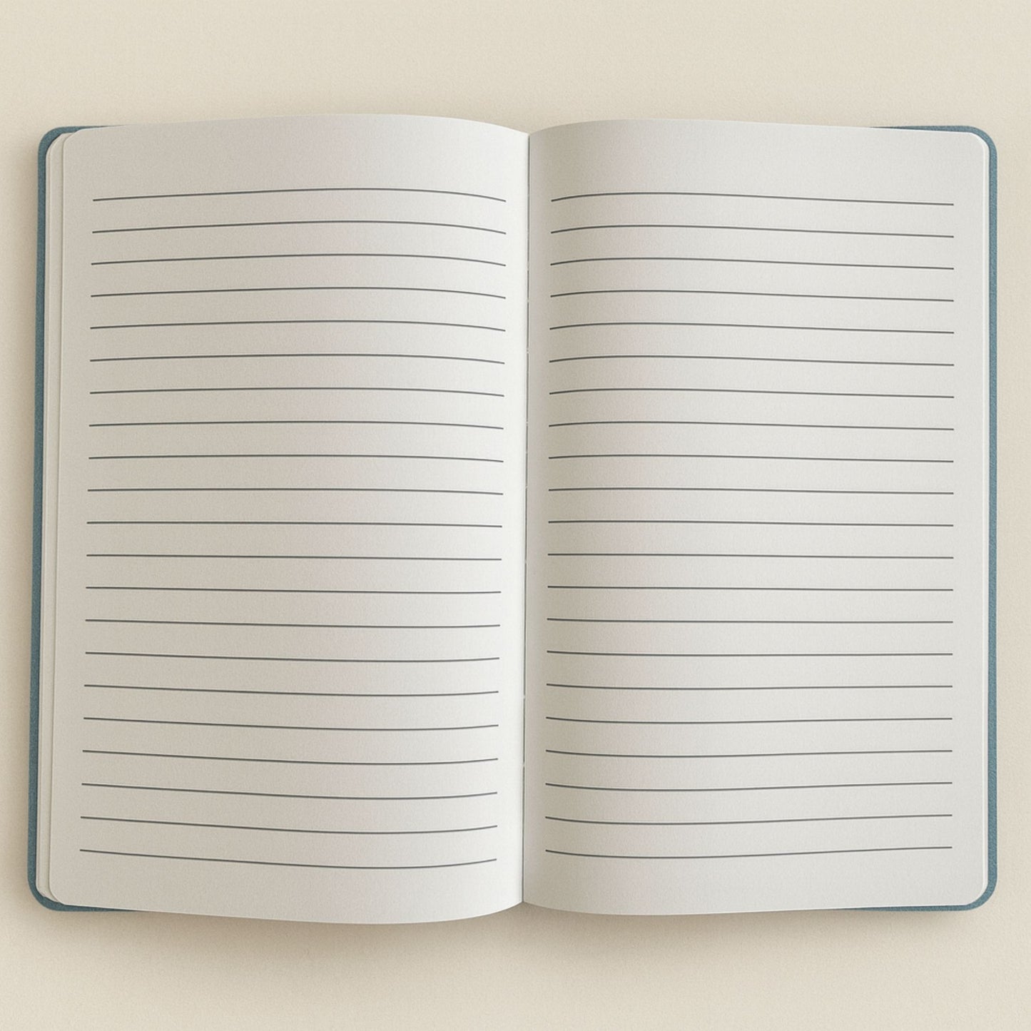 Light Blue Velvet Notebook - 80 pages - Embrace The Journey – packaging