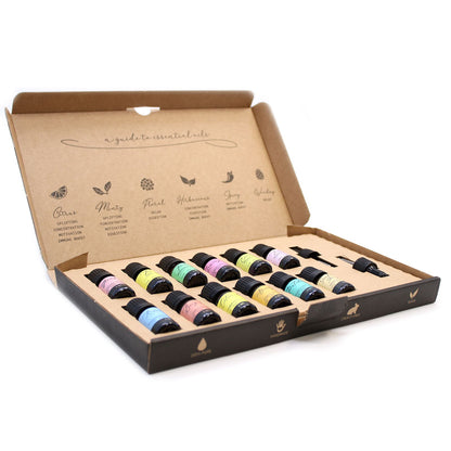 Aromatherapy Essential Oil Set - The Top 12 – lifestyle shot