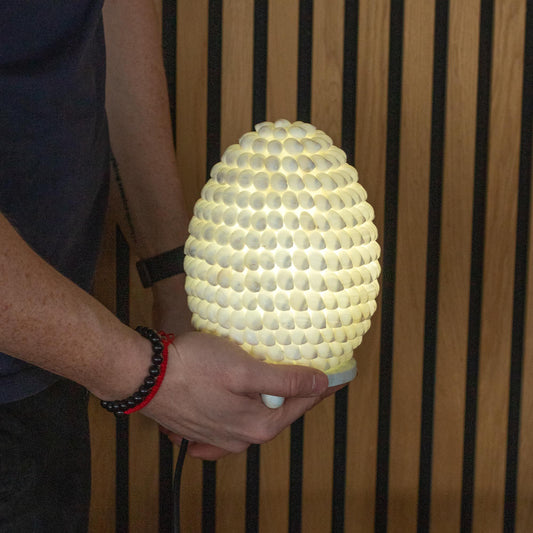 GlowShell Aura Lamp – Handcrafted Buting Oval (15cm)