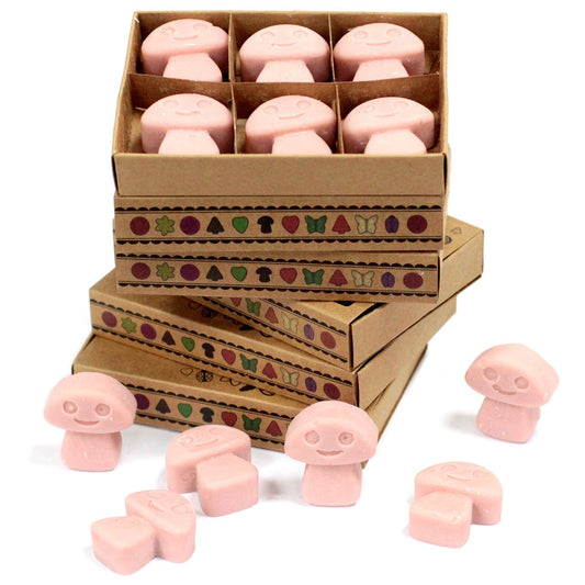 Coffee Trader Wax Melts, Box of 6