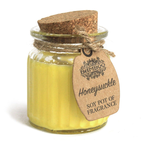 Honeysuckle Soy Pot of Fragrance Candles | Auro & Co