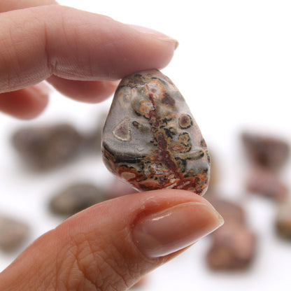 M Tumble Stone - Leopard Skin – detail view