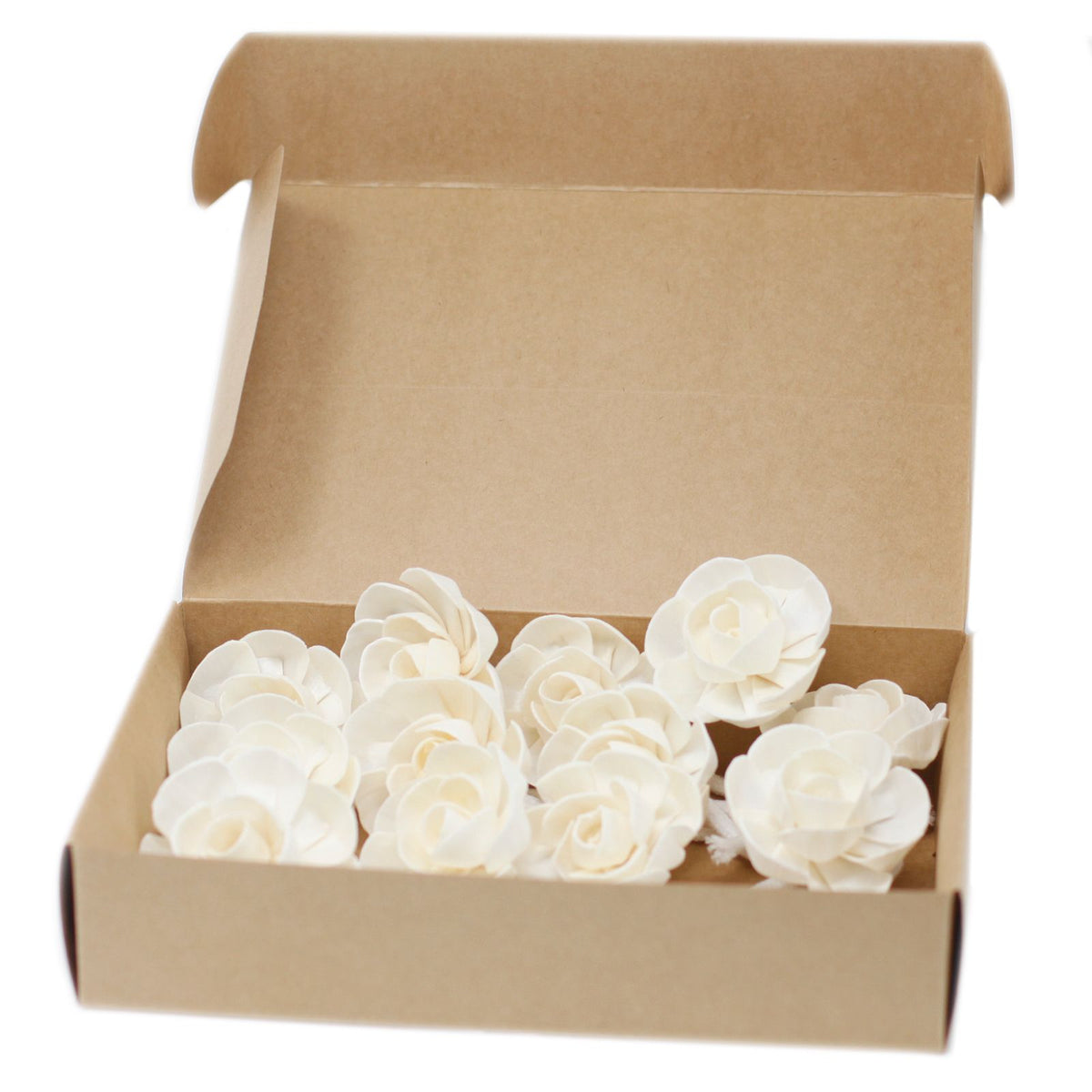 Natural Diffuser Flowers – Small Lotus on String