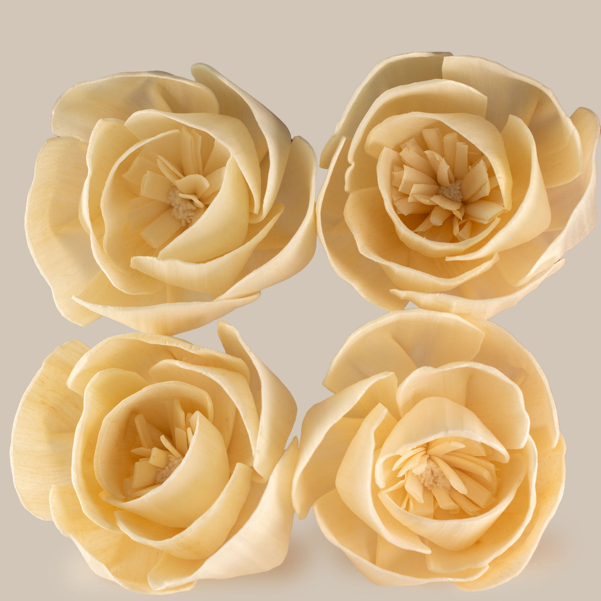 Natural Diffuser Flowers – Large Rose on String