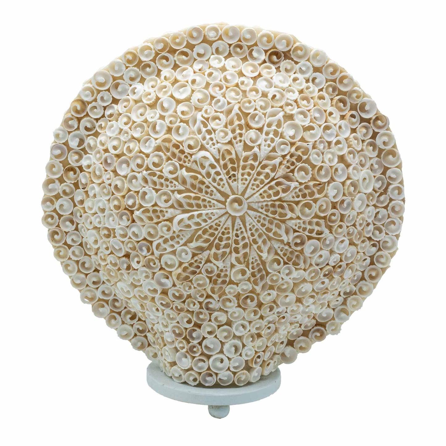 Coastal Glow Cut-Art Shell Lamp – Large Round (30cm) | Auro & Co