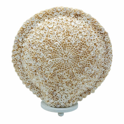 Coastal Glow Cut-Art Shell Lamp – Large Round (30cm) | Auro & Co
