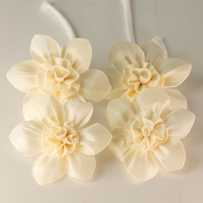 Natural Diffuser Flowers – Large Lily on String