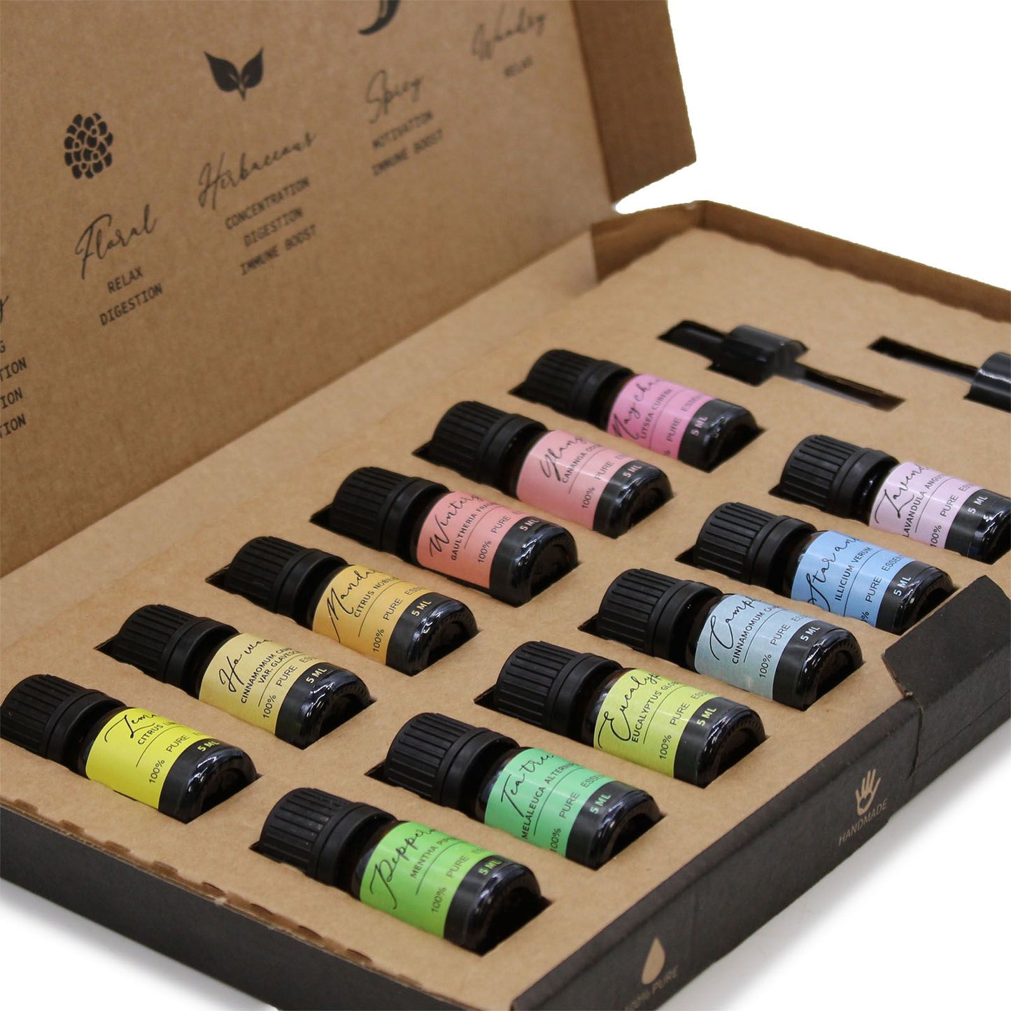 Aromatherapy Essential Oil Set - Starter Pack | Auro & Co