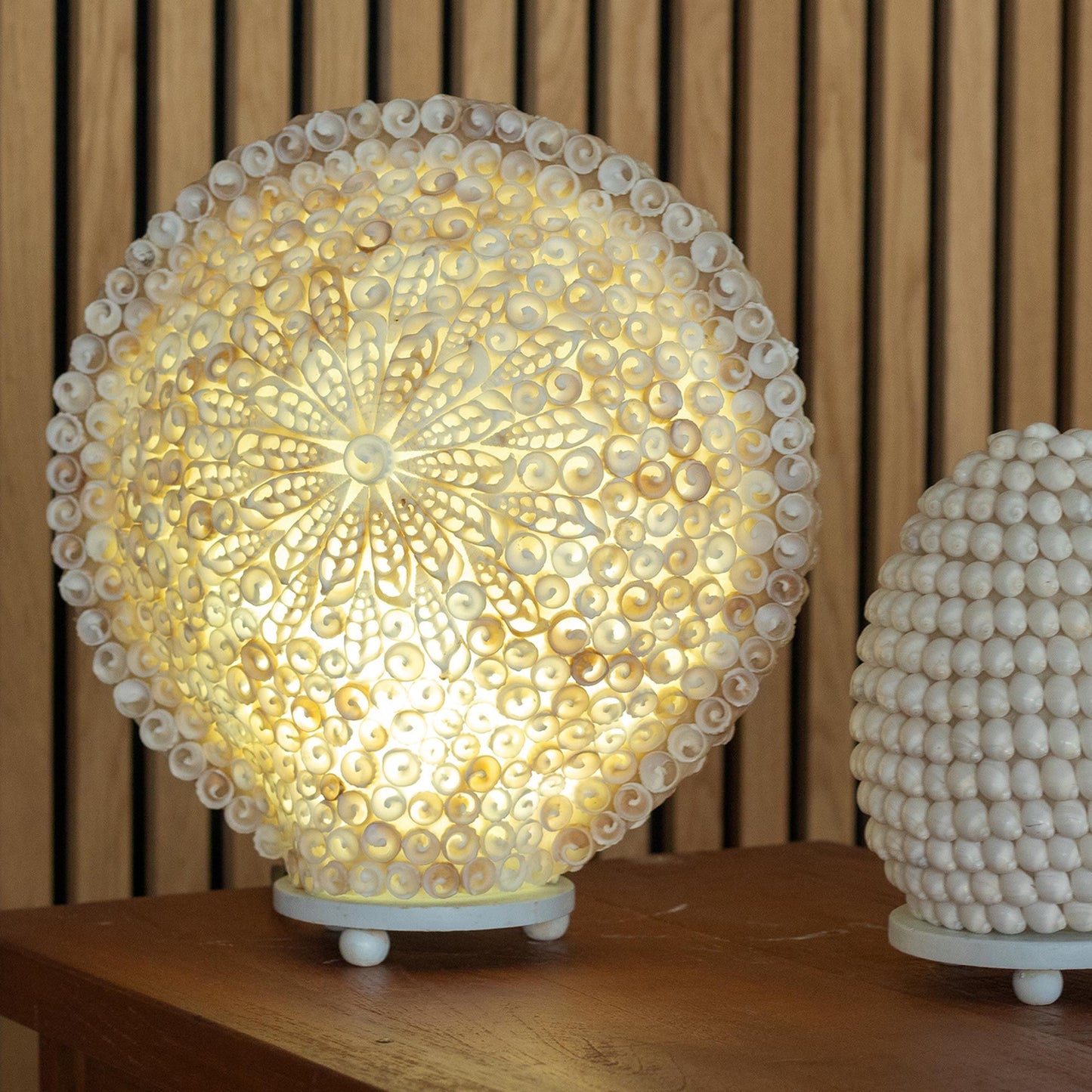 Coastal Glow Cut-Art Shell Lamp – Large Round (30cm) – packaging