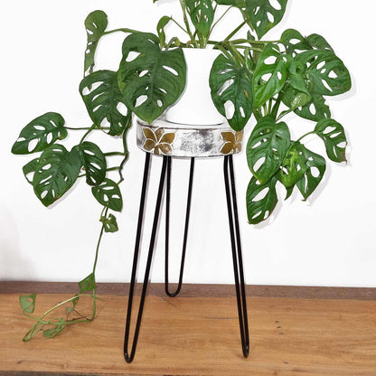 Wood Plant Stand – Whitewash & Gold
