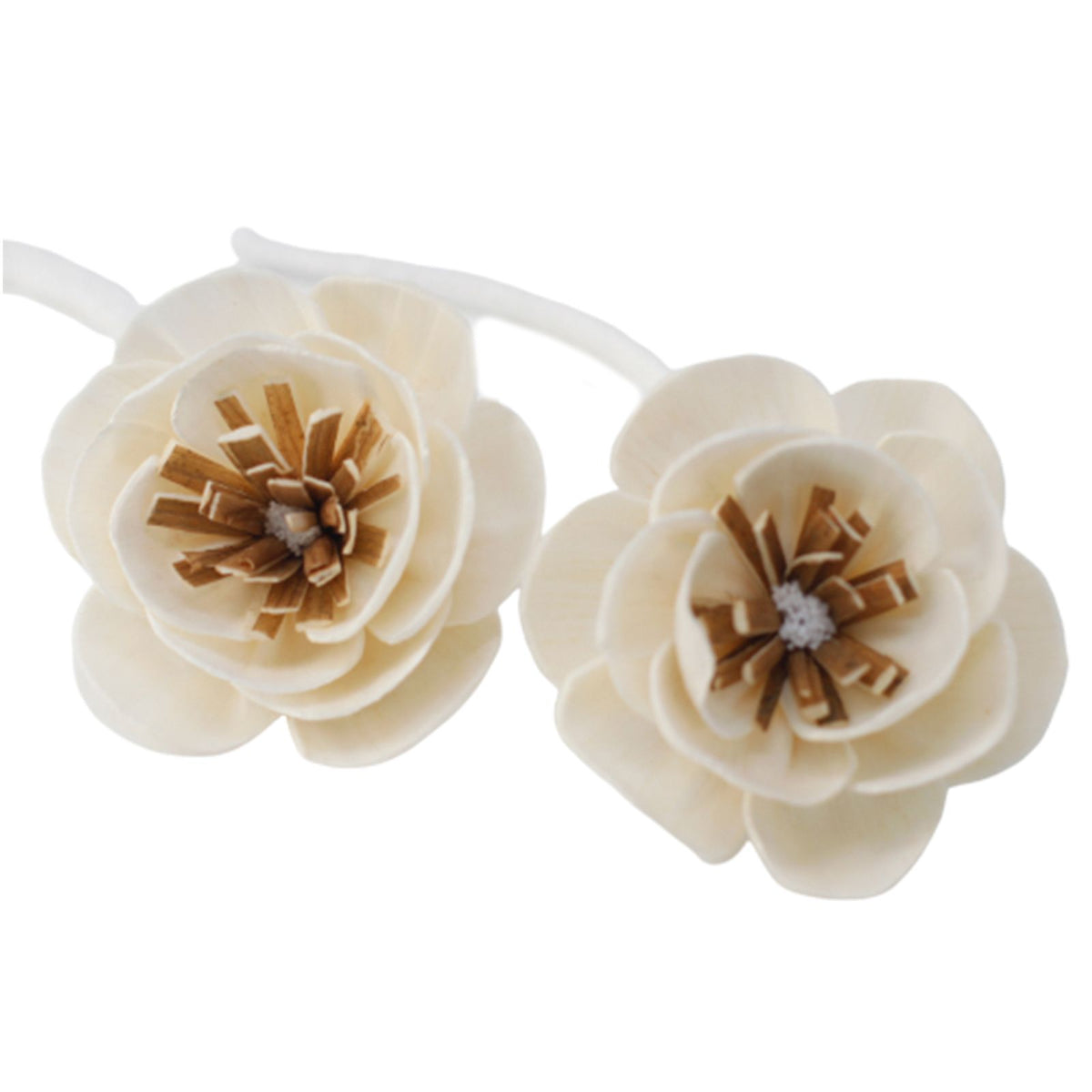 Natural Diffuser Flowers – Small Poppy on String