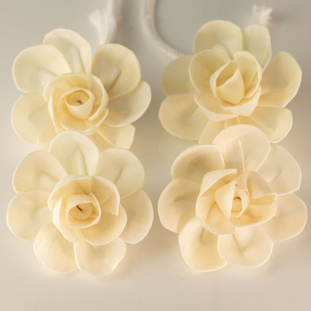 Natural Diffuser Flowers – Large Lotus on String