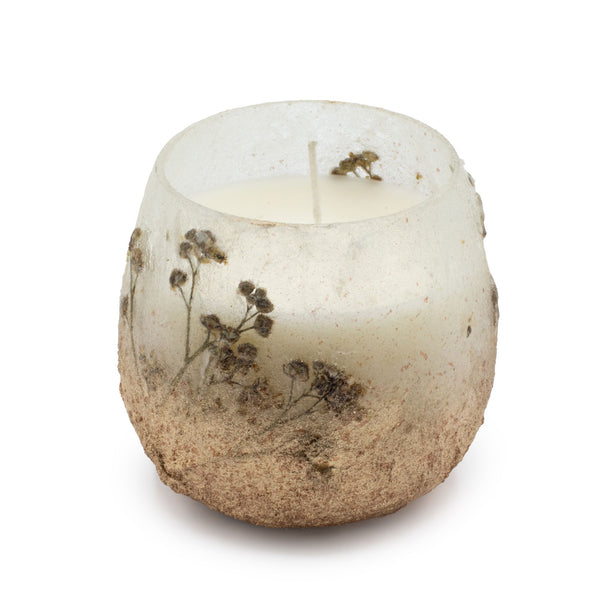Small Glass Jar Candles - Wildlight Woods | Auro & Co