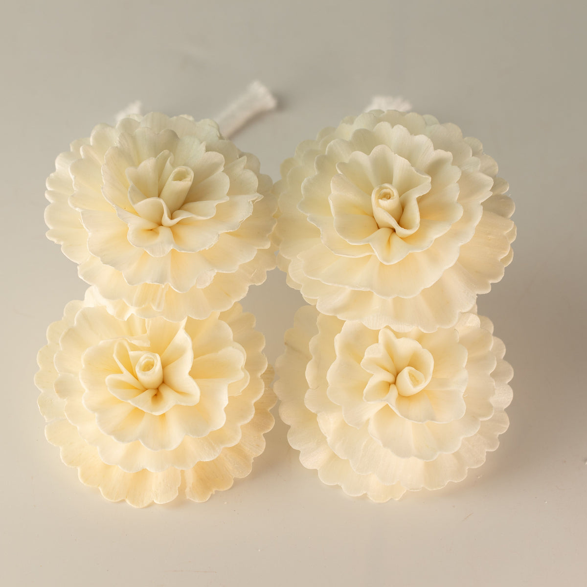 Natural Diffuser Flowers – Medium Carnation on String