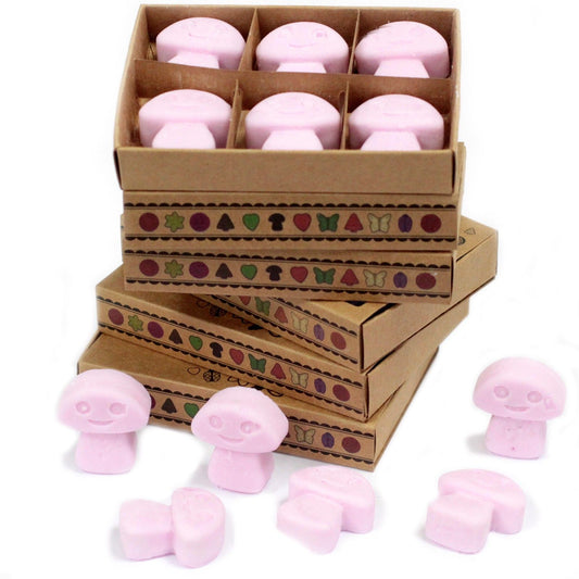 Ylang Ylang Wax Melts, Box of 6