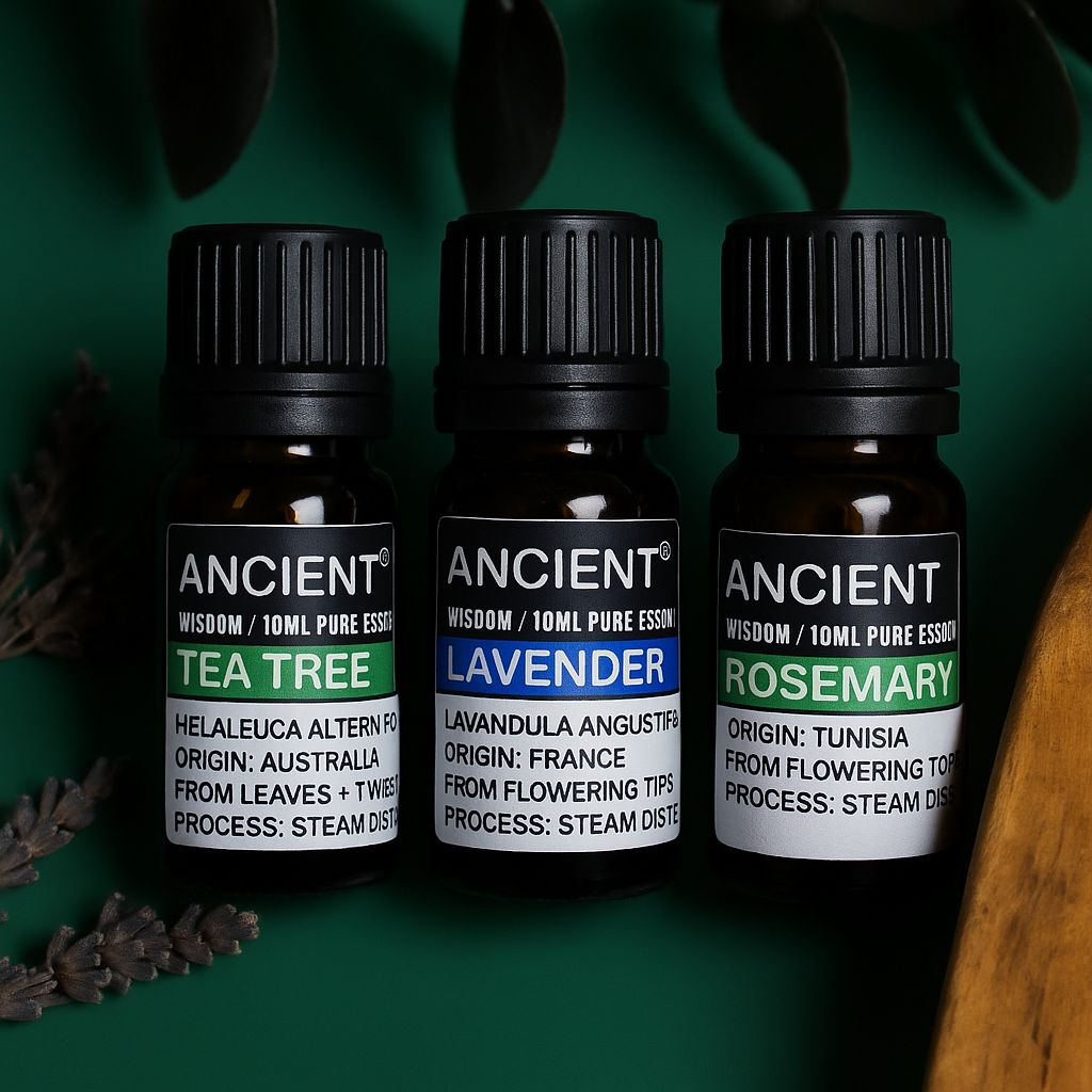 Set of Lavender, Tea Tree & Rosemary Essential Oils - 10ml Each | Auro & Co