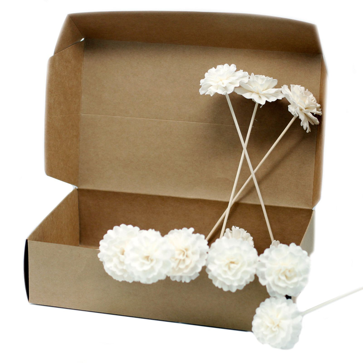 Natural Diffuser Flowers – Carnation on Reed