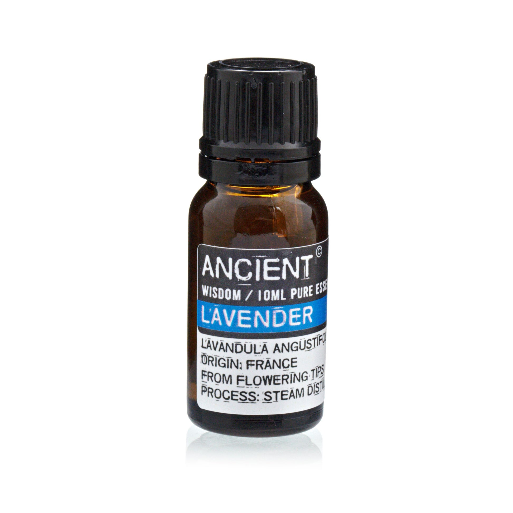 Set of Lavender, Tea Tree & Rosemary Essential Oils - 10ml Each – detail view