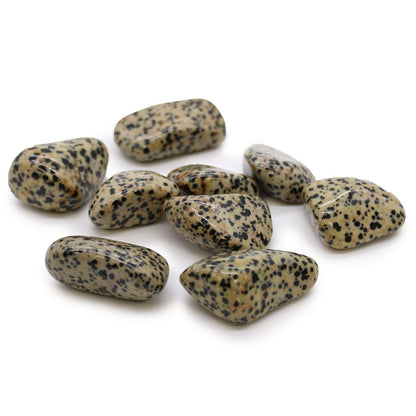 XL Tumble Stones - Dalmation Stone | Auro & Co