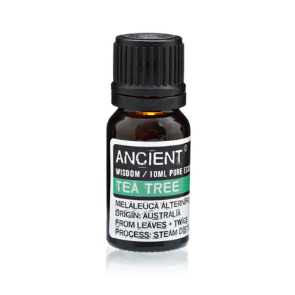 Set of Lavender, Tea Tree & Rosemary Essential Oils - 10ml Each – lifestyle shot