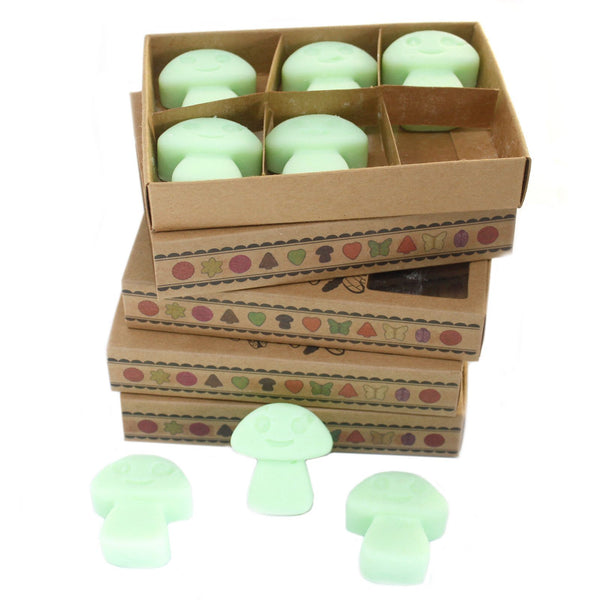 Liquorice Wax Melts, Box of 6