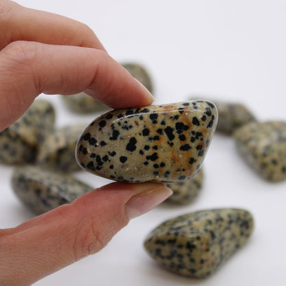XL Tumble Stones - Dalmation Stone – detail view