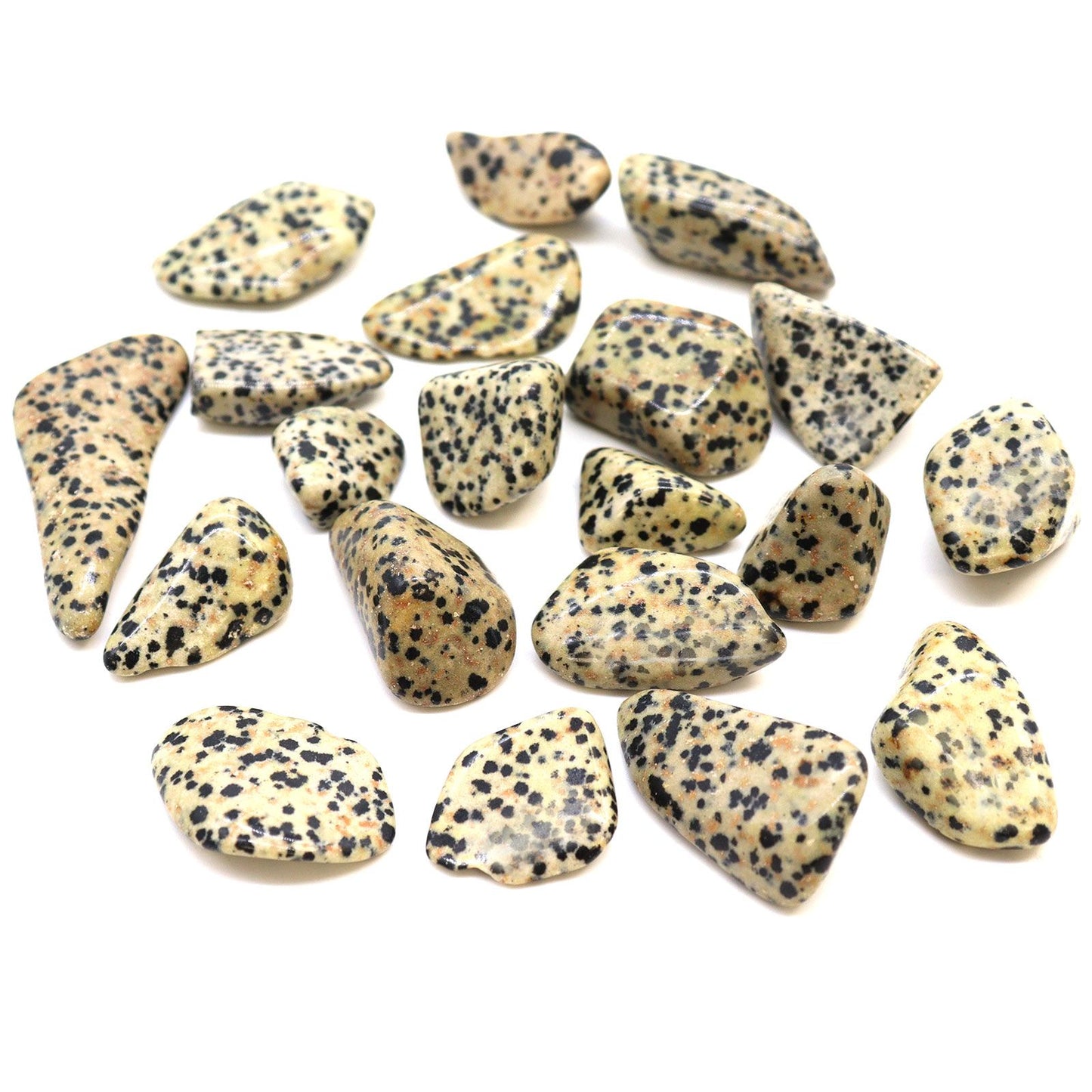 L Tumble Stones - Dalmation Stone | Auro & Co