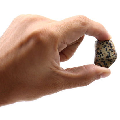 L Tumble Stones - Dalmation Stone – detail view
