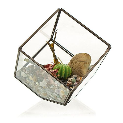 Glass Terrarium - Cube on Corner | Auro & Co