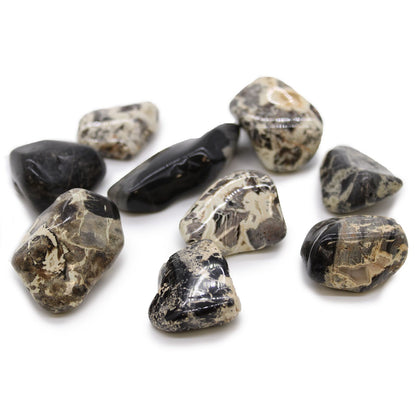 XL Tumble Stones - Jasper - Silverleaf | Auro & Co