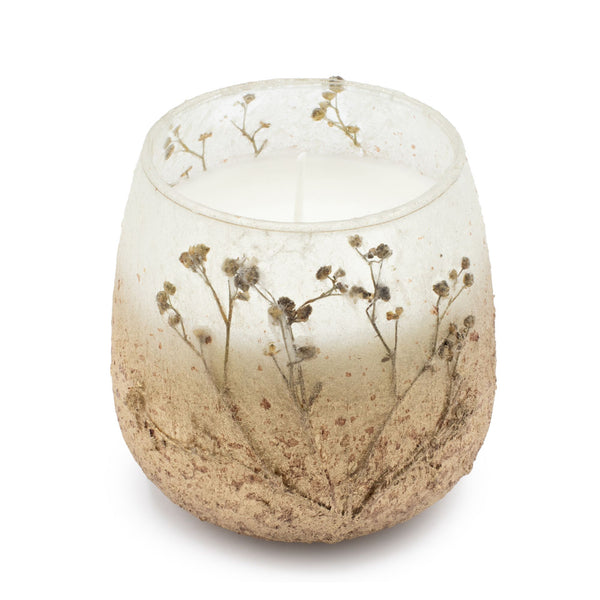 Medium Glass Jar Candles - Wildlight Woods | Auro & Co